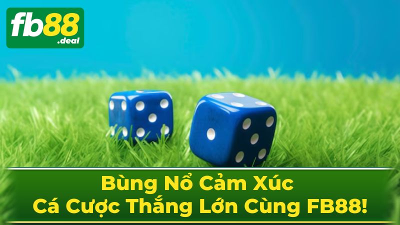 Bùng Nổ Cảm Xúc - Cá Cược Thắng Lớn Cùng FB88!